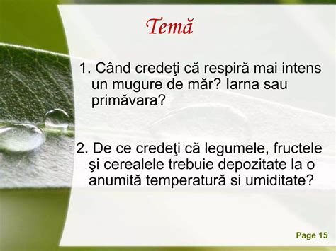 Respiratia La Plante Ppt