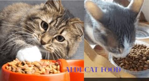 Who Makes Aldi Cat Food? || Cat Food Search