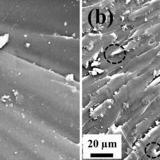 FESEM Images Of The Tensile Fracture Surface Of A NE And B ENC 0 5