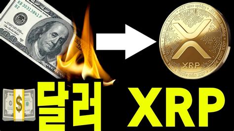 리플 비트코인 달러구조는 Xrp로 이동하고 Xrp 투자자들은 역사상 가장큰 뒤통수를 맞는다 Youtube