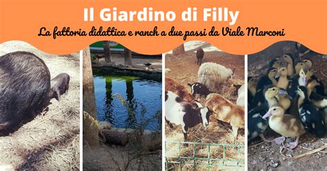 Riapre il Giardino di Filly fattoria didattica in città Roma013