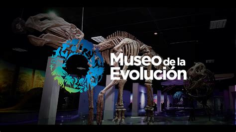 Museo De La Evolucion Tehuacan Youtube