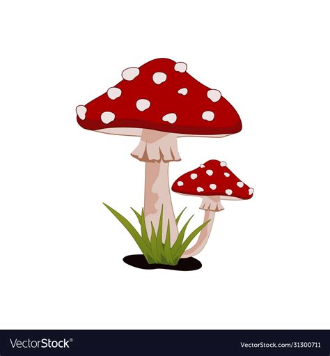 Magic Mushroom Amanita Muscaria Fly Agaric Vector Image