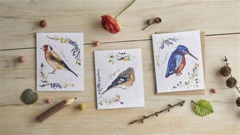 Goldfinch Eco Friendly Greetings Cards Hannah Marchant