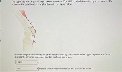 Solved The Upper Leg Muscle Quadriceps Exerts A Force Of