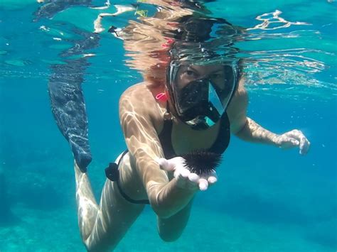 Chania Boat Trip With Guided Snorkeling Stand Up Paddling Getyourguide