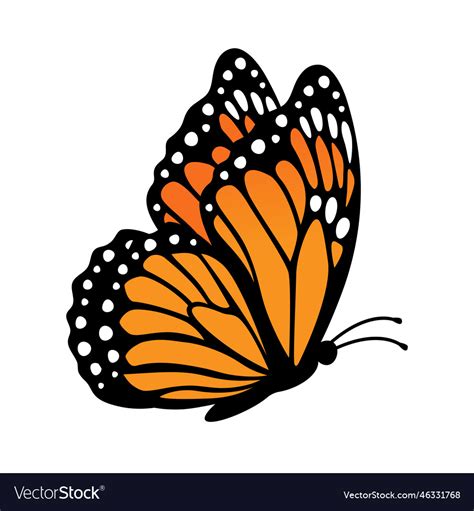 Monarch butterfly side view isolated on white Vector Image