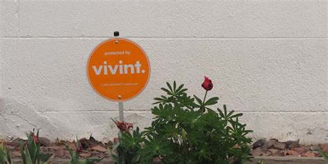 Vivint Solar Reviews: What Are People Saying? - Understand Solar