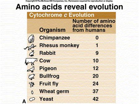 Molecular Biology - Evidence for Evolution - Biology 3.5