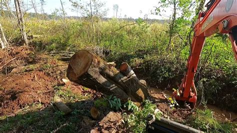 Tearing Out Beaver Dams With The Excavator Youtube