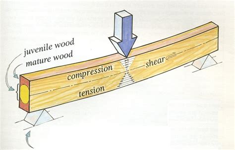 Wood Beam Deflection Table