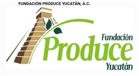 Nuevo Presidente De Fundaci N Produce Yucat N El Grillo