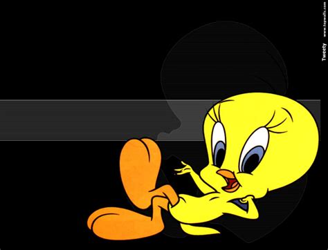 Tweety Bird Wallpaper | HD Wallpapers Plus