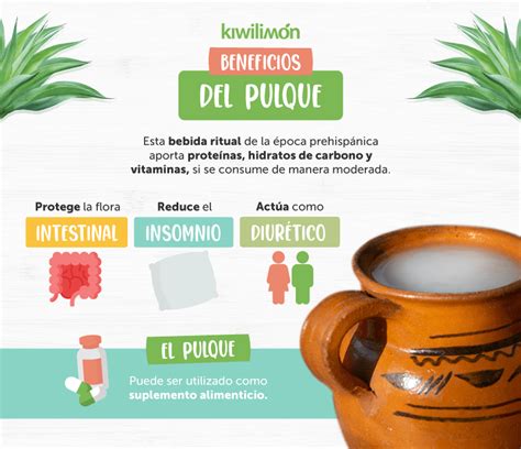 Beneficios Del Pulque La Bebida De Los Dioses