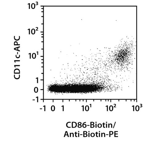 Cd Antibody Anti Mouse Miltenyi Biotec