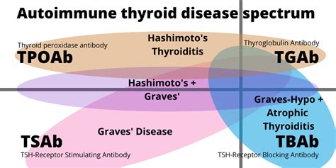 AITD-spectrum-full – Thyroid Patients Canada