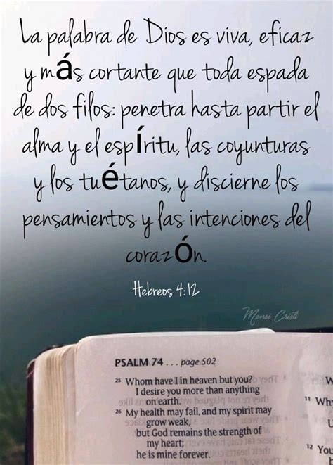 Hebreos 4 12 Palabra De Vida Palabra De Dios Citas De La Biblia