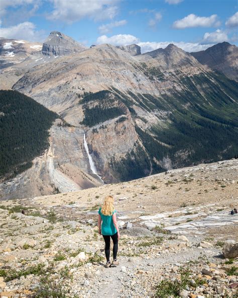 Hiking Among Glaciers The Iceline Trail Yoho National Park Walk My