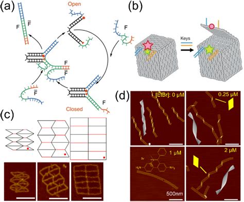 Reconfigurable Dna Structures Using Ssdna Hinges Jack Edges And