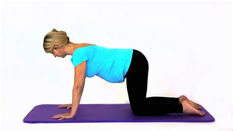 Pregnancy Exercises Four Point Kneeling Start Position YouTube