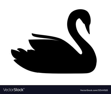 Black Silhouette Swan Largest Flying Bird Swim Vector Image