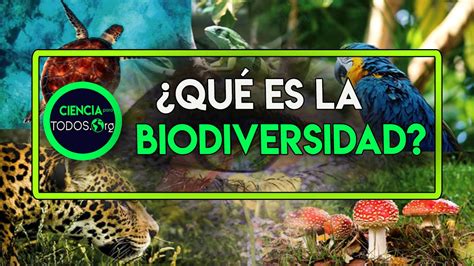 Qu Es La Biodiversidad Ciencia Tecnolog A Y Educaci N