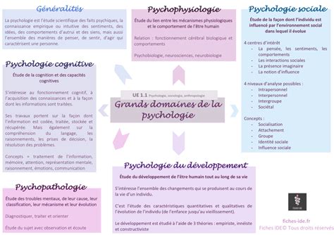 Grands Domaines De La Psychologie UE 1 1 Psychologie Fiches IDE