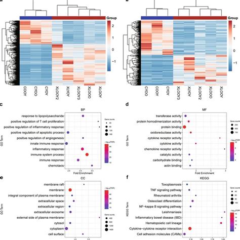 Functional Enrichment Analysis Of Differentially Expressed Mrnas A B Download Scientific