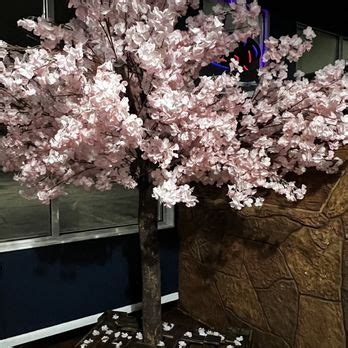 UMAI HOT POT AND ASIAN CUSINE Updated June 2025 40 Photos 31 Reviews 4408 W Walnut St