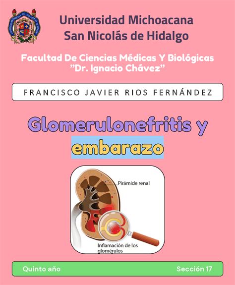 Glomerulonefritis Y Embarazo Diapositivas De Obstetricia Docsity