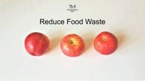 REDUCE FOOD WASTE WITH EMPTY FRIDGE DAY - Sustainability Tribe