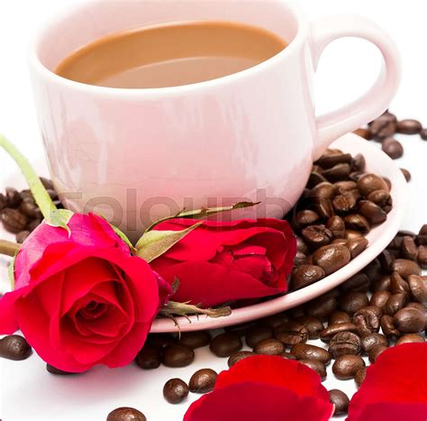 coffee  rose represents coffees cup  decaf stock image colourbox