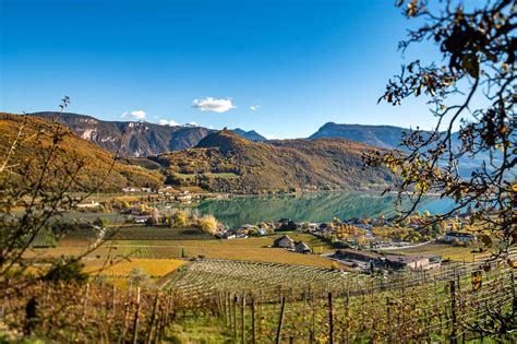 Blick Auf Den Herbstlichen Kalterer See Von Den Weinbergen Des