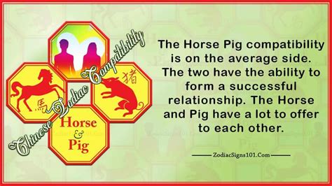 Horse Pig Compatibility: Possible, But Needs Work - ZodiacSigns101