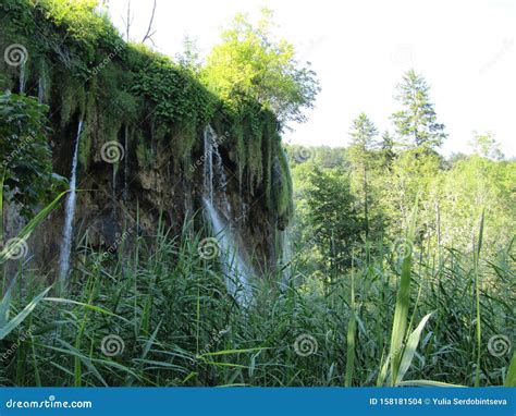 Wodospad W Parku Narodowym Jezior Plitvice W Chorwacji Zdj Cie Stock