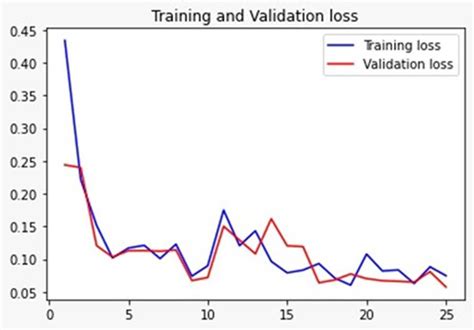 Training And Validation Loss Download Scientific Diagram