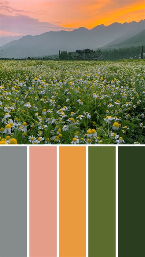 Chamomile Flower Field Color Palette With Natural Tones And Hues Color Palette Flower Field