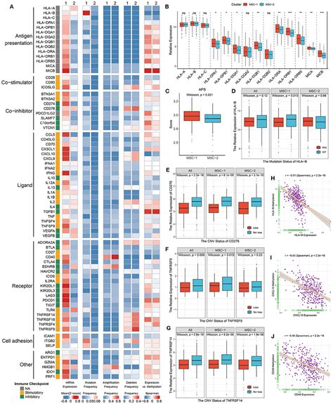 Frontiers Genomic Alteration Characterization In Colorectal Cancer