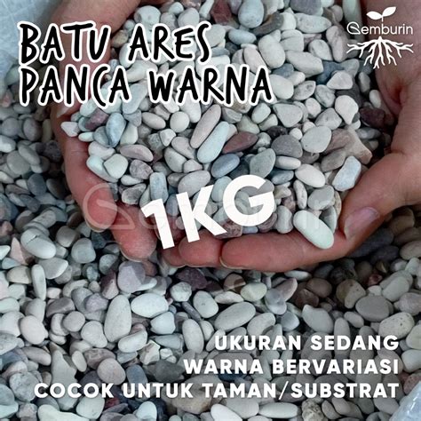 Jual Batu Ares Panca Warna Kg Sedang Pasir Koral Hias Multicolour