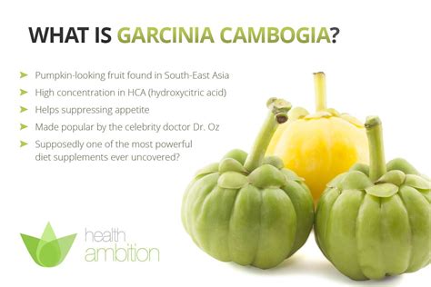 Garcinia Cambogia Side Effects