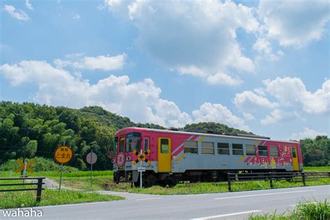 鉄道風景写真が撮りたーいっ！ 北条鉄道写真 11