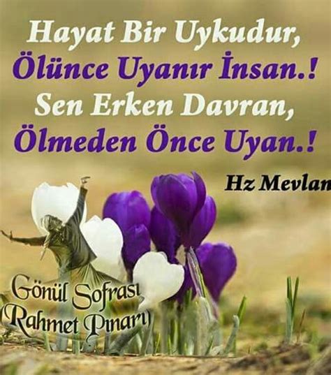 bedirhan durak adlı kullanıcının MEVLANA CELALEDDİN RUMİ VE SÖZLERİ