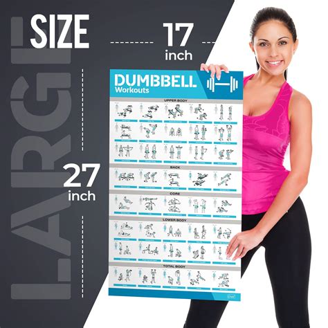 Buy 12 Pack Laminated Large Workout Poster Set Perfect Workout