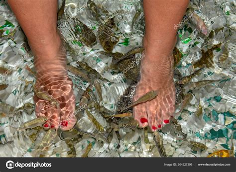 Fish Spa Feet Pedicure Skin Care Treatment Bangkok Thailand Stock Photo