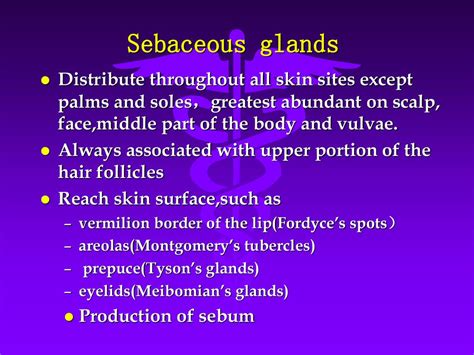 Structure And Function Of Human Skin Ppt Download