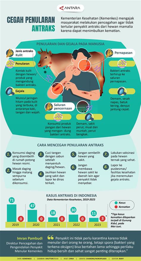 Cegah Penularan Antraks Infografik ANTARA News