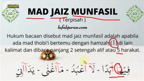 Cara Bacaan Mad Jaiz Munfasil