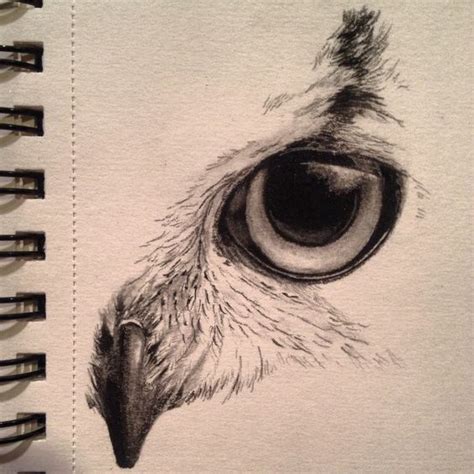 20 Amazing Owl Drawings In Different Mediums To Draw The Things To