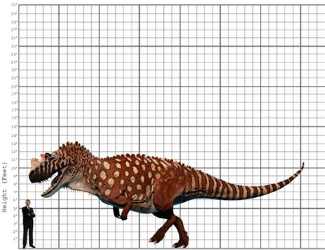 My Ceratosaurus size comparison by EthanThomas2022 on DeviantArt