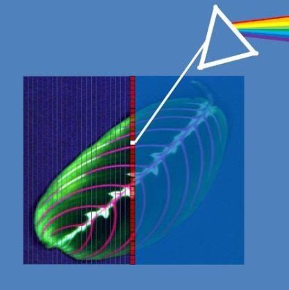 Hyperspectral Imaging Understanding Its Purpose Benefits Voltrium